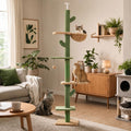 Arbre à chat cactus